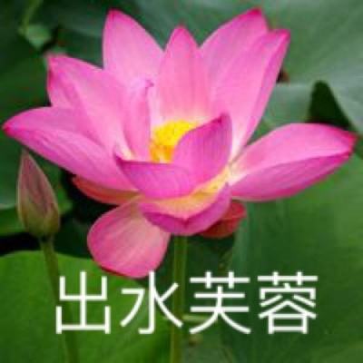 主公传奇官方版下载